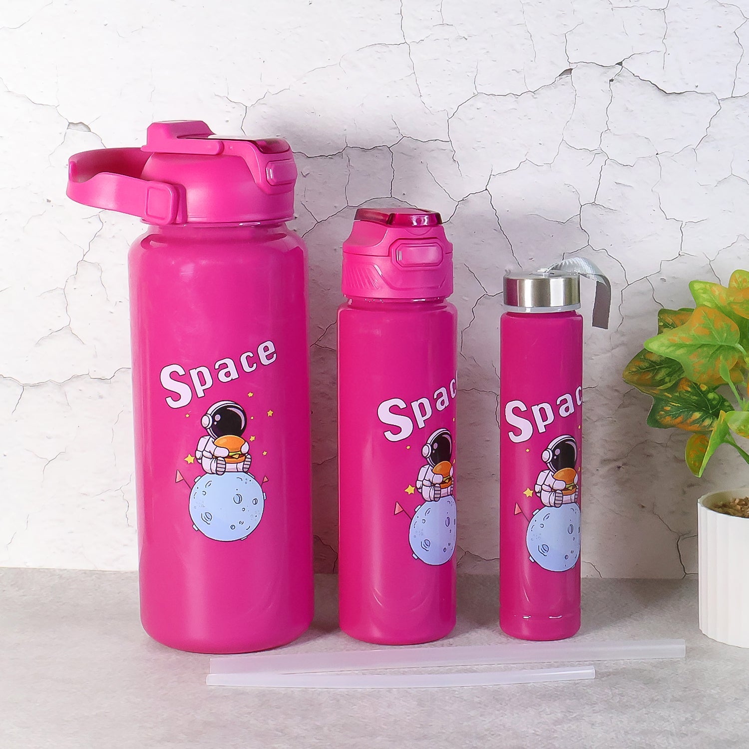 Premium Travel Water Bottle