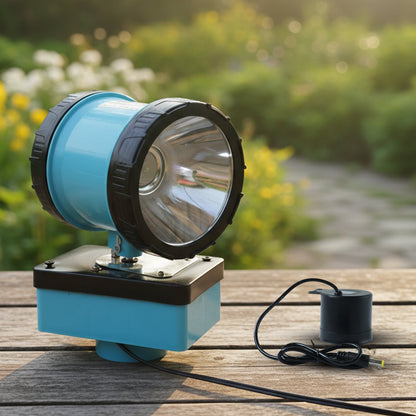 Torch Light