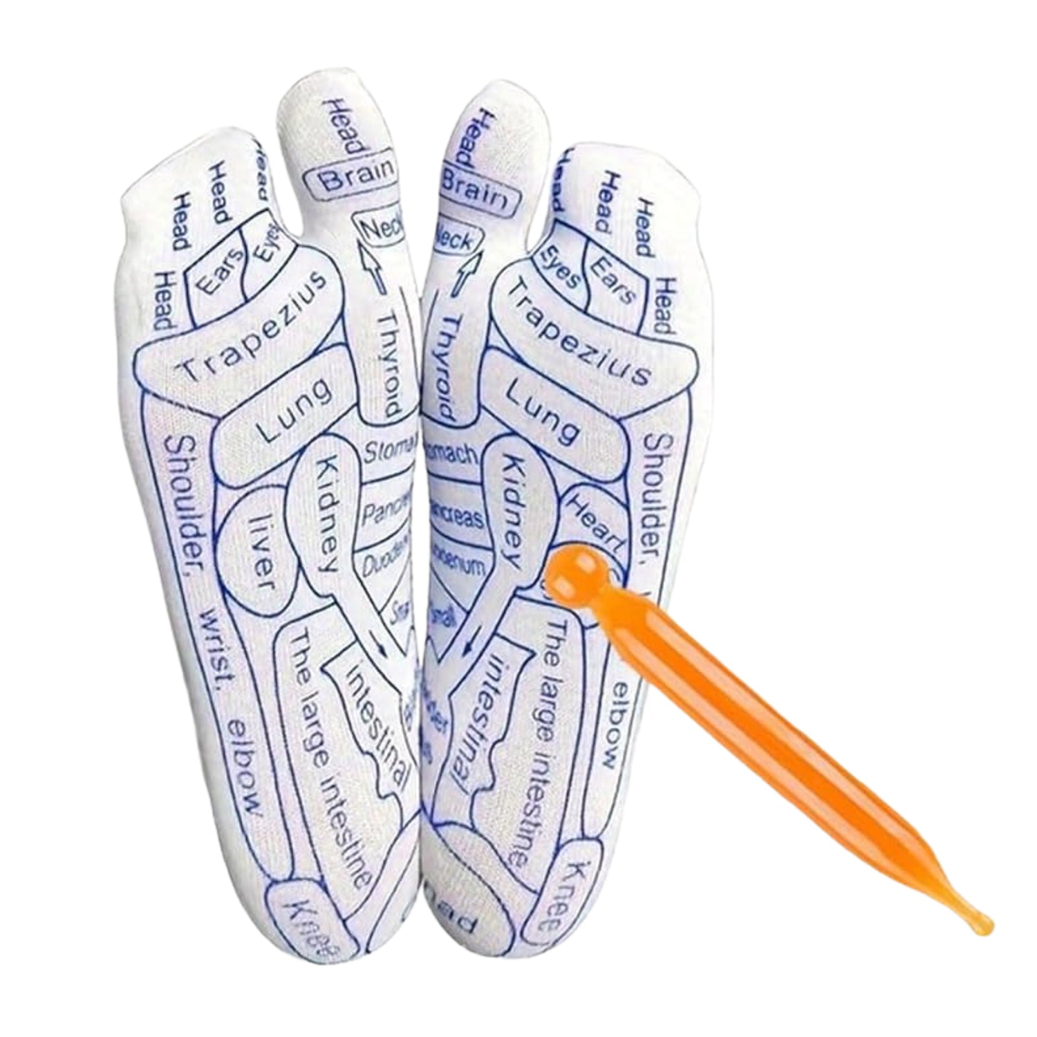 Foot Map Socks