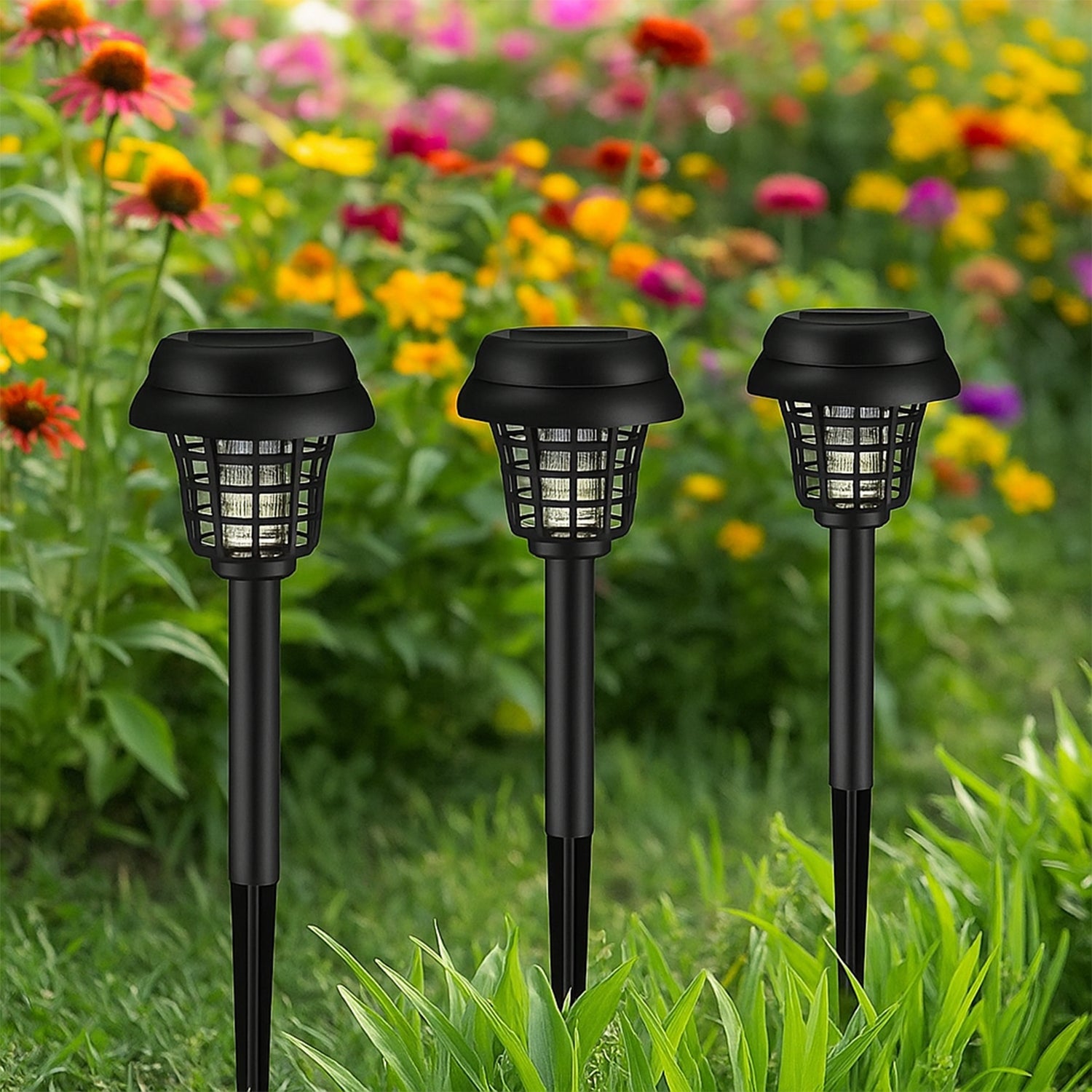 Mosquito Trap Lights