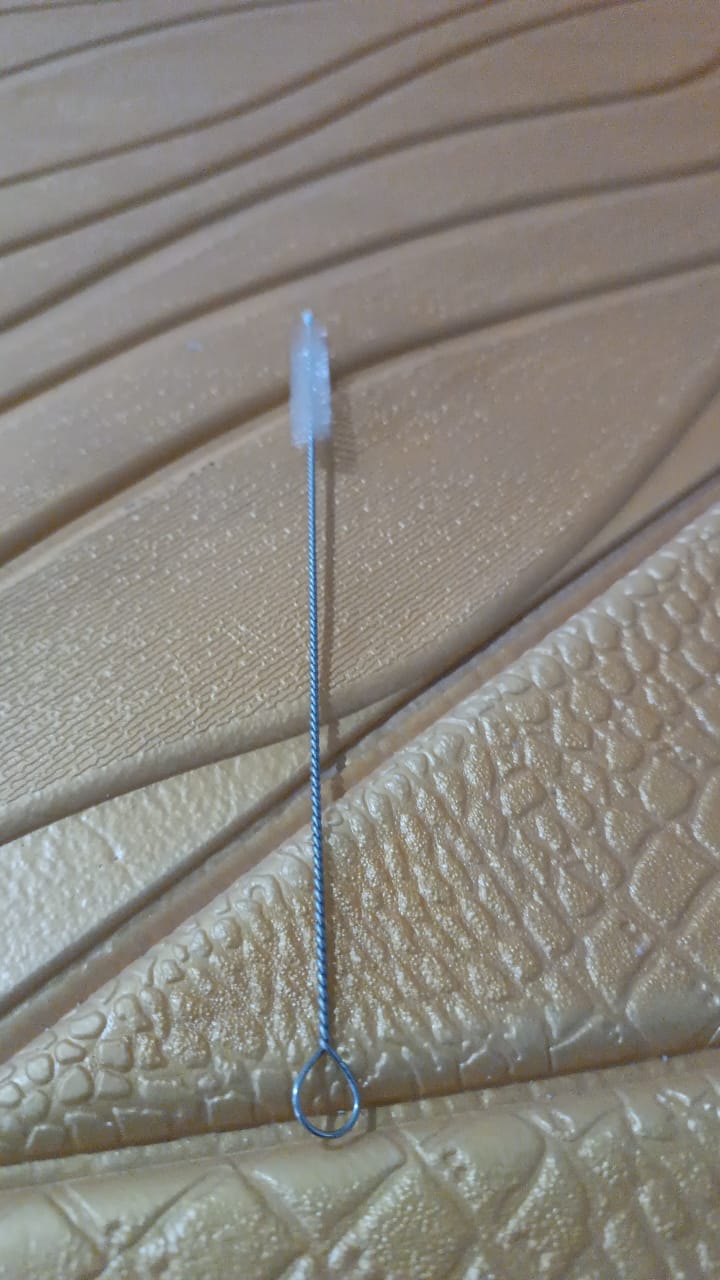 Stainless Steel Straw Cleaning Brush Drinking Pipe (20 Cm / 1 Pc)