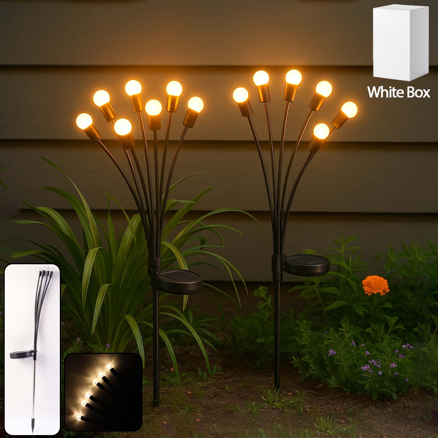 Branch Path Light